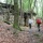 Tweedaagse trektocht: Müllerthal Trail 2